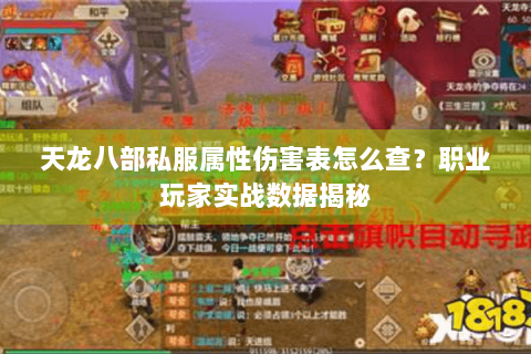 天龙八部私服属性伤害表怎么查？职业玩家实战数据揭秘