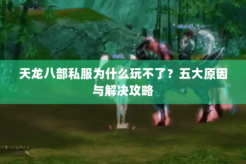 天龙八部私服为什么玩不了？五大原因与解决攻略