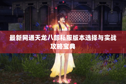 最新网通天龙八部私服版本选择与实战攻略宝典