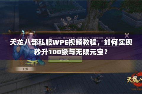 天龙八部私服WPE视频教程,如何实现秒升100级与无限元宝? 天龙八部私服WPE视频教程,如何实现秒升100级与无限元宝?