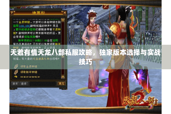 天若有情天龙八部私服攻略,独家版本选择与实战技巧 天若有情天龙八部私服攻略,独家版本选择与实战技巧