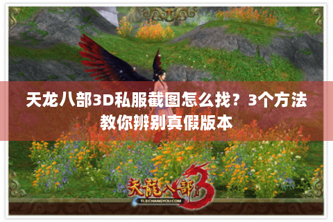 天龙八部3D私服截图怎么找?3个方法教你辨别真假版本 天龙八部3D私服截图怎么找?3个方法教你辨别真假版本