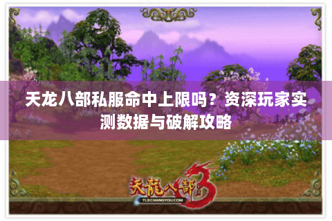 天龙八部私服命中上限吗？资深玩家实测数据与破解攻略