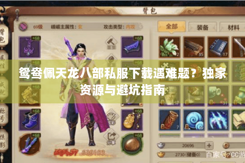 鸳鸯佩天龙八部私服下载遇难题？独家资源与避坑指南