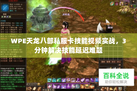 WPE天龙八部私服卡技能视频实战，3分钟解决技能延迟难题