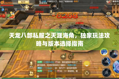 天龙八部私服之天涯海角,独家玩法攻略与版本选择指南 天龙八部私服之天涯海角,独家玩法攻略与版本选择指南