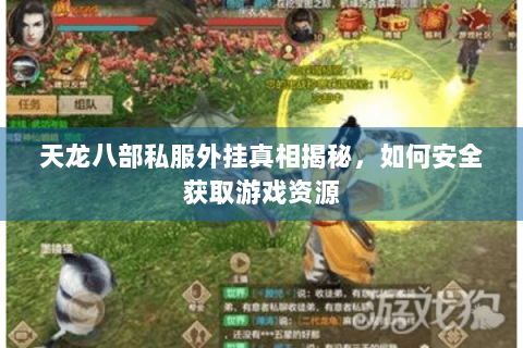 天龙八部私服外挂真相揭秘,如何安全获取游戏资源 天龙八部私服外挂真相揭秘,如何安全获取游戏资源
