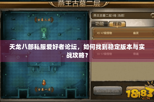 天龙八部私服爱好者论坛，如何找到稳定版本与实战攻略？