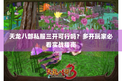 天龙八部私服三开可行吗?多开玩家必看实战指南 天龙八部私服三开可行吗?多开玩家必看实战指南