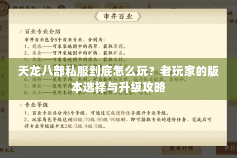 天龙八部私服到底怎么玩？老玩家的版本选择与升级攻略