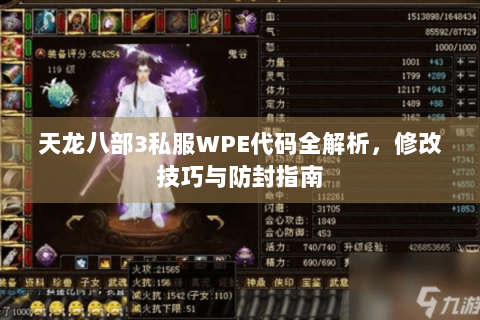 天龙八部3私服WPE代码全解析,修改技巧与防封指南 天龙八部3私服WPE代码全解析,修改技巧与防封指南