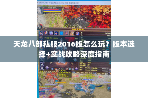 天龙八部私服2016版怎么玩?版本选择+实战攻略深度指南 天龙八部私服2016版怎么玩?版本选择+实战攻略深度指南
