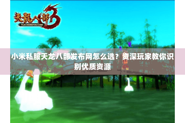 小米私服天龙八部发布网怎么选？资深玩家教你识别优质资源