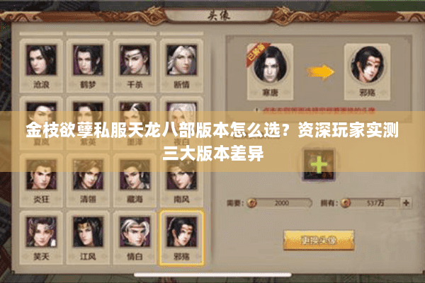 金枝欲孽私服天龙八部版本怎么选？资深玩家实测三大版本差异