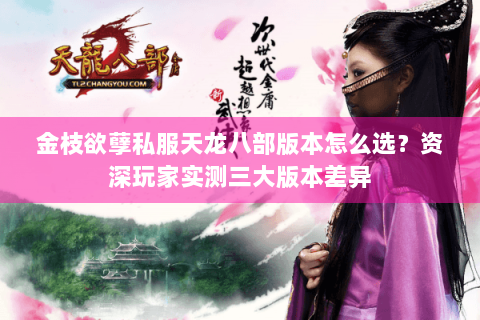 金枝欲孽私服天龙八部版本怎么选？资深玩家实测三大版本差异