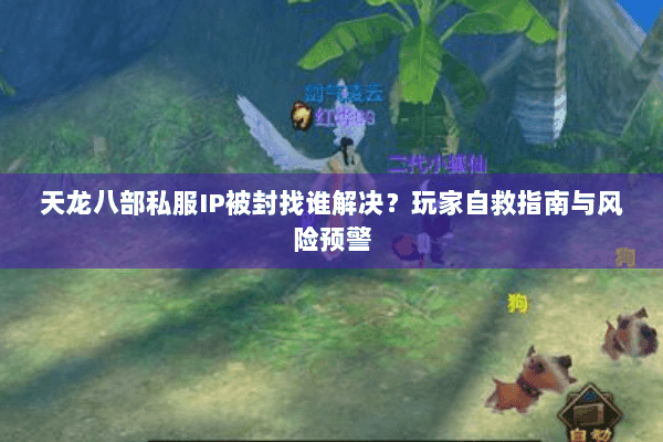 天龙八部私服IP被封找谁解决？玩家自救指南与风险预警