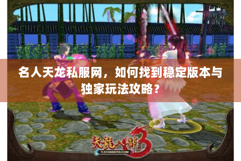 名人天龙私服网，如何找到稳定版本与独家玩法攻略？