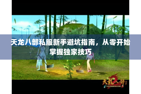 天龙八部私服新手避坑指南,从零开始掌握独家技巧 天龙八部私服新手避坑指南,从零开始掌握独家技巧