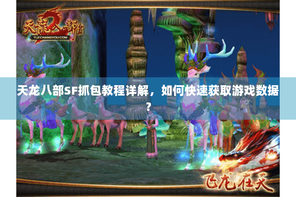 天龙八部SF抓包教程详解，如何快速获取游戏数据？