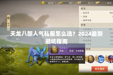 天龙八部人气私服怎么选?2024最新避坑指南 天龙八部人气私服怎么选?2024最新避坑指南