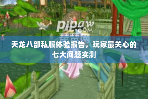 天龙八部私服体验报告,玩家最关心的七大问题实测 天龙八部私服体验报告,玩家最关心的七大问题实测