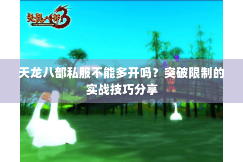 天龙八部私服不能多开吗？突破限制的实战技巧分享