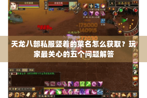 天龙八部私服竖着的菜名怎么获取？玩家最关心的五个问题解答