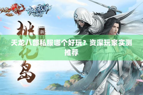 天龙八部私服哪个好玩?资深玩家实测推荐 天龙八部私服哪个好玩?资深玩家实测推荐