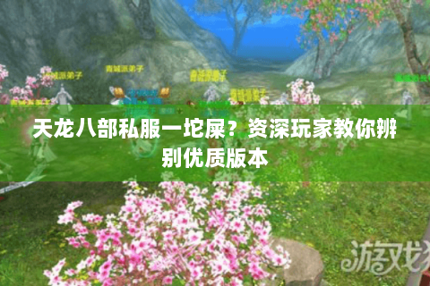 天龙八部私服一坨屎？资深玩家教你辨别优质版本