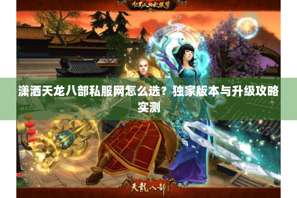 潇洒天龙八部私服网怎么选？独家版本与升级攻略实测