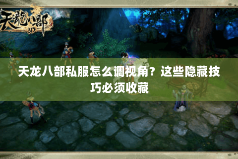 天龙八部私服怎么调视角？这些隐藏技巧必须收藏