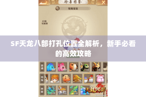 SF天龙八部打孔位置全解析,新手必看的高效攻略 SF天龙八部打孔位置全解析,新手必看的高效攻略