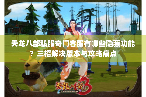 天龙八部私服奇门客服有哪些隐藏功能？三招解决版本与攻略痛点
