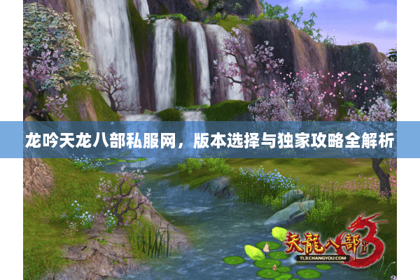 龙吟天龙八部私服网,版本选择与独家攻略全解析 龙吟天龙八部私服网,版本选择与独家攻略全解析