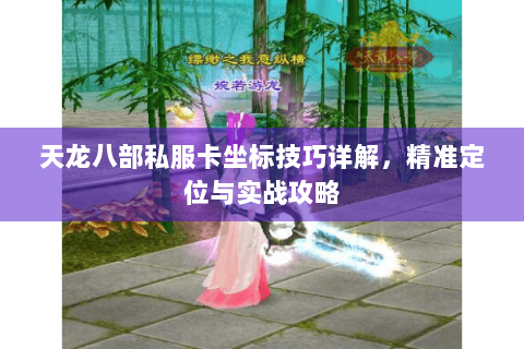 天龙八部私服卡坐标技巧详解，精准定位与实战攻略