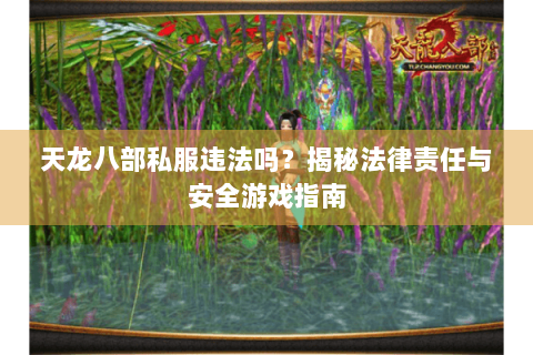 天龙八部私服违法吗?揭秘法律责任与安全游戏指南 天龙八部私服违法吗?揭秘法律责任与安全游戏指南