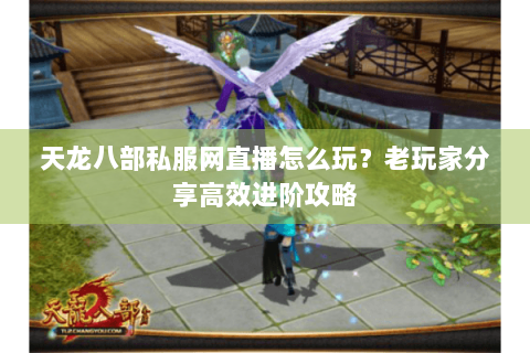 天龙八部私服网直播怎么玩？老玩家分享高效进阶攻略