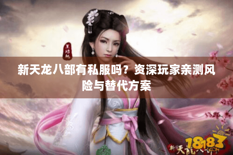 新天龙八部有私服吗？资深玩家亲测风险与替代方案