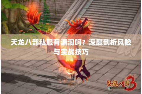 天龙八部私服有漏洞吗?深度剖析风险与实战技巧 天龙八部私服有漏洞吗?深度剖析风险与实战技巧