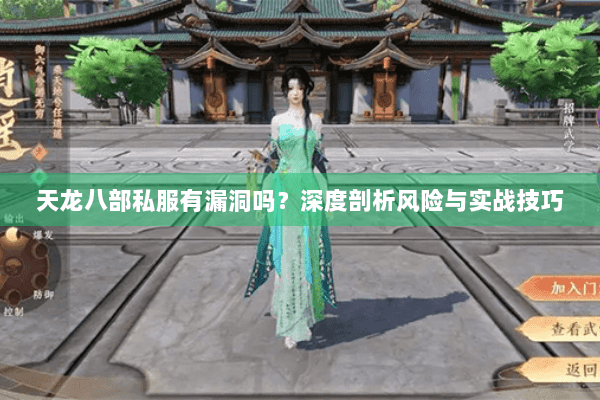 天龙八部私服有漏洞吗?深度剖析风险与实战技巧 天龙八部私服有漏洞吗?深度剖析风险与实战技巧