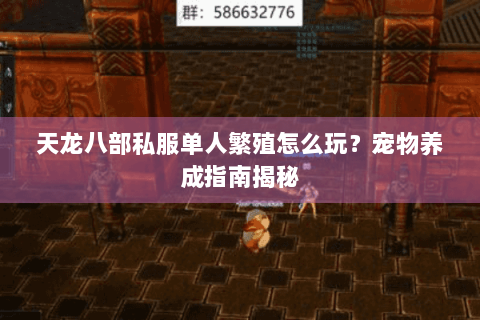 天龙八部私服单人繁殖怎么玩？宠物养成指南揭秘