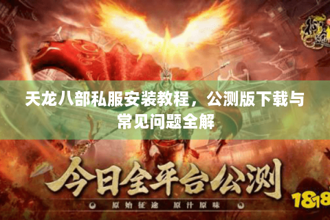 天龙八部私服安装教程，公测版下载与常见问题全解