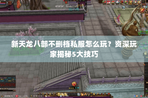 新天龙八部不删档私服怎么玩?资深玩家揭秘5大技巧 新天龙八部不删档私服怎么玩?资深玩家揭秘5大技巧