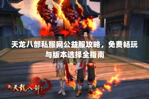 天龙八部私服网公益服攻略，免费畅玩与版本选择全指南