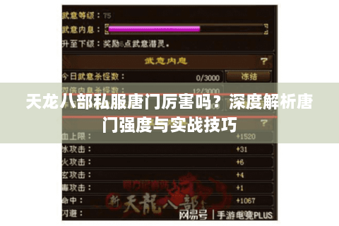 天龙八部私服唐门厉害吗？深度解析唐门强度与实战技巧