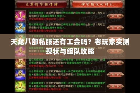 天龙八部私服还有工会吗？老玩家实测现状与组队攻略