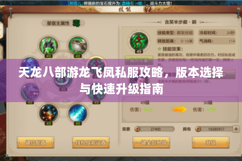 天龙八部游龙飞凤私服攻略，版本选择与快速升级指南
