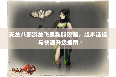 天龙八部游龙飞凤私服攻略，版本选择与快速升级指南