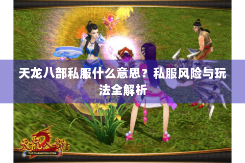 天龙八部私服什么意思？私服风险与玩法全解析