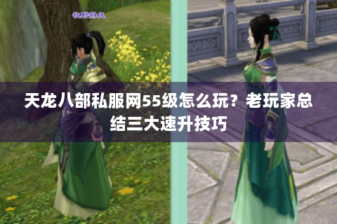 天龙八部私服网55级怎么玩？老玩家总结三大速升技巧